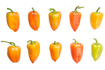 set of different colorful bell peppers isolated white background