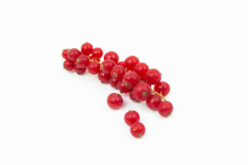 ribes rossi grappolo