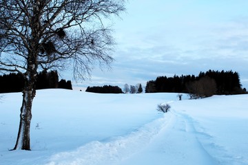 Verschneiter Wanderweg im Alpenvorland, Allgäu