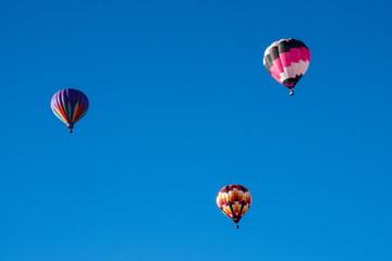hot air balloons in the sky