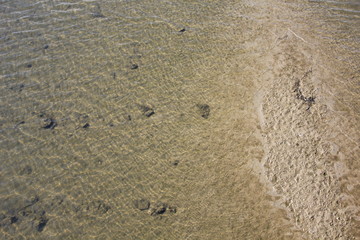 footprints in the sand