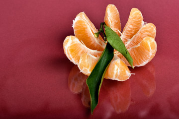 tulips on black background