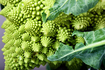 close up of broccoli