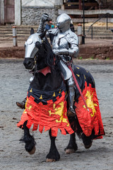 Knight In Armour