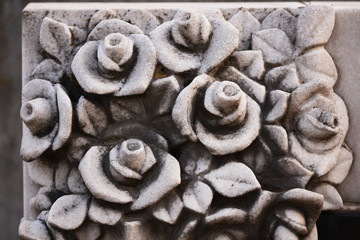 roses carved in stone  in old  cemetery,detail