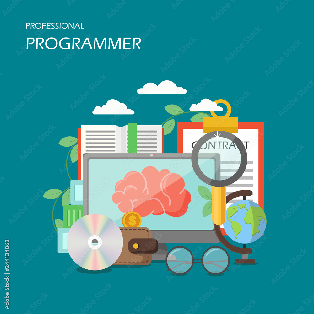 Poster professional programmer vector flat style design illustration
