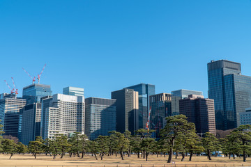 Obraz premium 東京の高層ビル群（ビジネス）