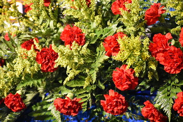 red flowers garden