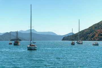 Beautiful bay with yachts and boats. Blue sea, blue sky, and mountains for background. Picton, South Island New Zealand