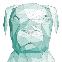 Polygonal dog head
