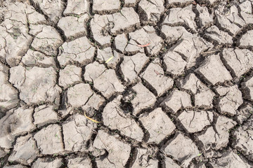 view of cracked mud in a pond after a dry hot summer