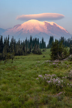 Sunrise at Ranier