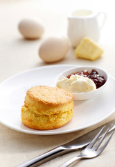 Delicious scone bread on a white background