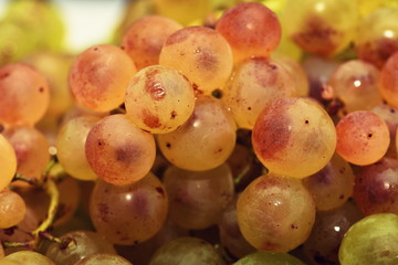 White grapes 