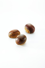Closeup of chestnut on a white background