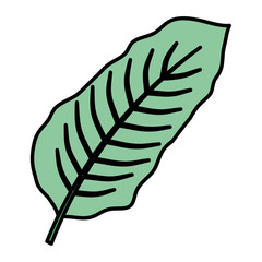 tropical leaf ecology icon