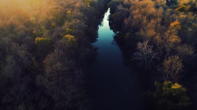 River and autumn trees and sailing boat during sunset, aerial drone video 