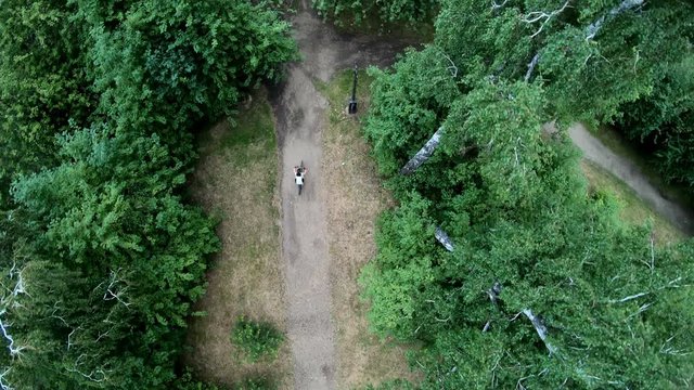 Aerial view of cycling in the park. Girl riding a bike on a forest trail. Vertical, top-down, slow motion