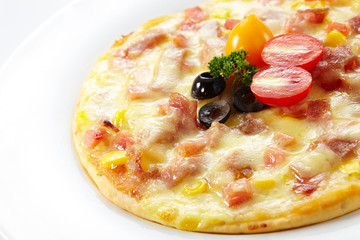 Delicious little pizza on a white background