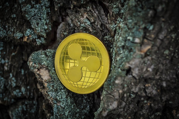 Golden coin of virutal currency laying on  bark background