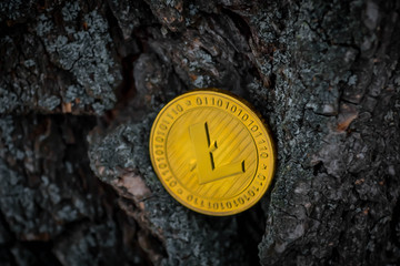 Golden coin of virutal currency laying on  bark background