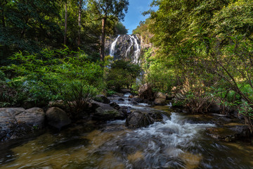 Waterfall in the rain forest  - 244142289