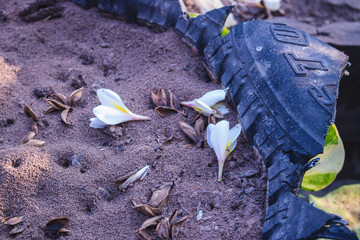 Obraz premium Natural scenery,road 