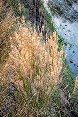 Natural scenery,road 