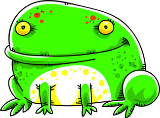 Sitting frog isolated on white