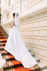 Fototapeta premium Beautiful girl in a wedding dress with a bouquet. Bride in a bright Sunny Studio.