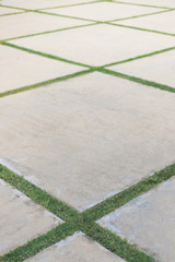cement floor with grass make square table on there in vertical