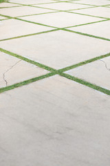 Fototapeta premium cement floor with grass make square table on there in vertical