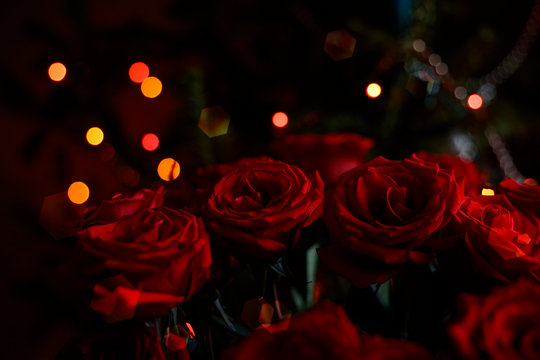 Abstract background. Gorgeous red roses on the background of festive lights. Bokeh style