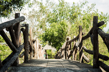 Pedestrian bridge in the park