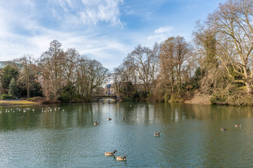 Lake in park