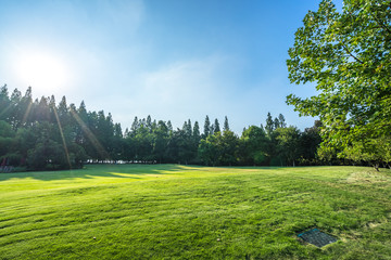 landscape of  the park