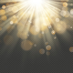 Light effect with glitter, sequins. Shining rays with bokeh. Sun particles and sparks with a highlight. EPS 10