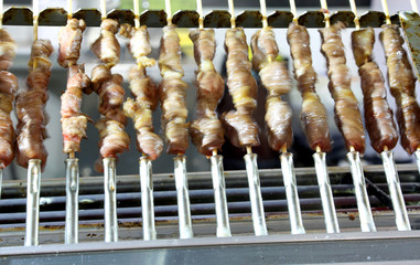 skewers of mutton cooked in series