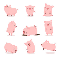 cute pink pig set