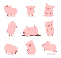 Fotobehang cute pink pig set © Little J