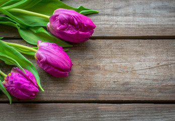 Tulips against a wooden background