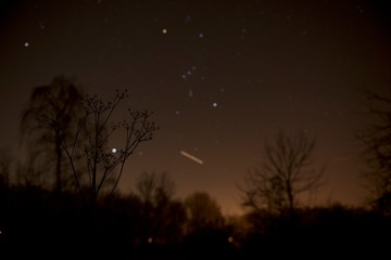 Nachfotografie mit Sternen im Wald