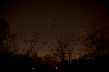 Nachfotografie mit Sternen im Wald