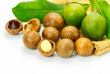 Group of macadamia in husk and in shell isolated on white background