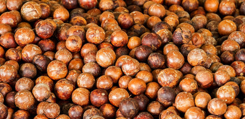 Close up a pile of macadamia in shell background