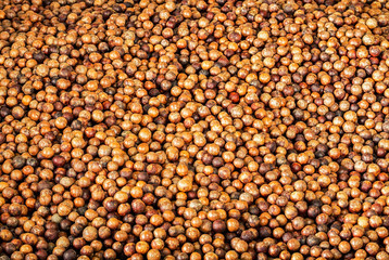 Close up a pile of macadamia in shell background