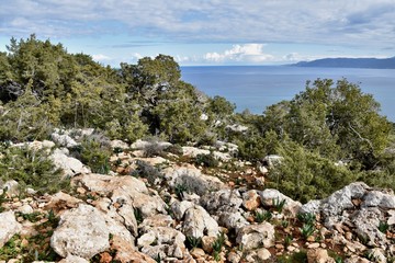Coastal Hillside on Chrysochou Bay and Mediterranean Sea