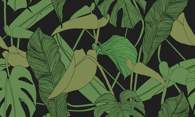 Vector tropical seamless pattern. Exotic green plants on black background. Banana and monstera leaves. Abstract floral seamless pattern. Textile print. Hand drawn clip art.