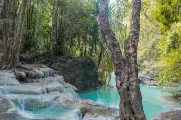 Jangle landscape with flowing turquoise water of Erawan cascade waterfall