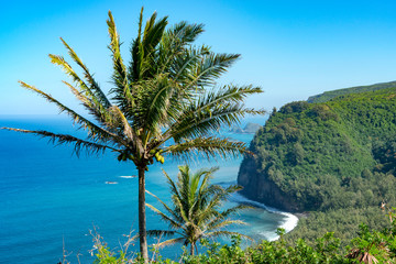 POLOLU VALLEY Look Out,Big Island Hawaii